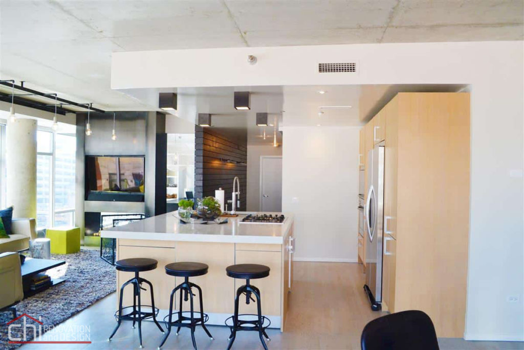 CHI ֻ | Contemporary Chicago Condo Kitchen Remodel