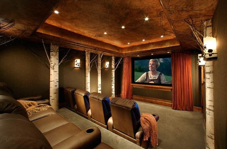 Susan Hersker Home Theatre Interior