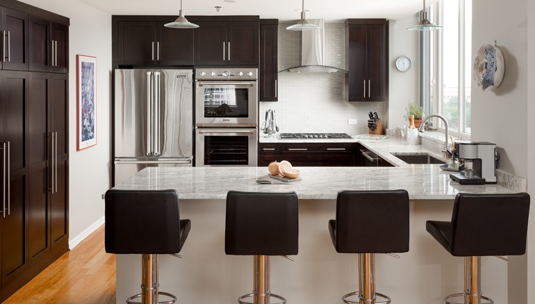 Chi | Chicago South Loop Kitchen Remodel