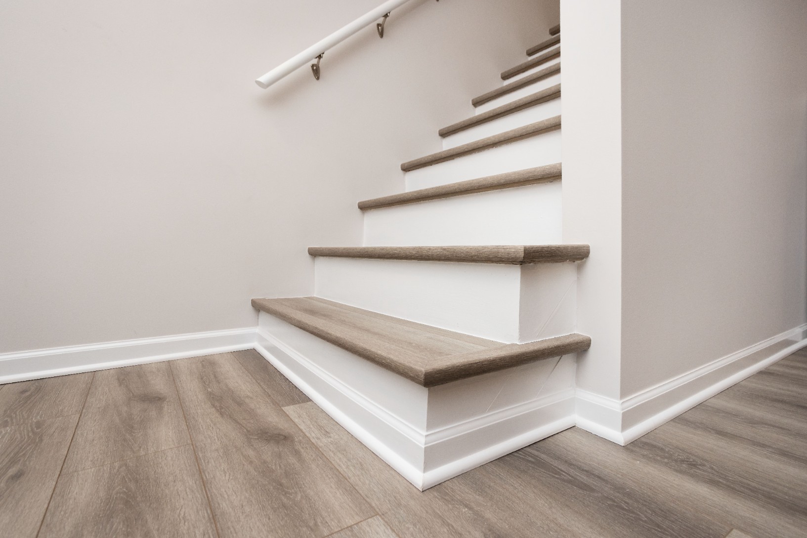 Modern Glencoe Basement Renovation